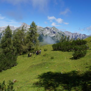 Bergbestattung in Salzburg Naturbestattung Zadrobilek